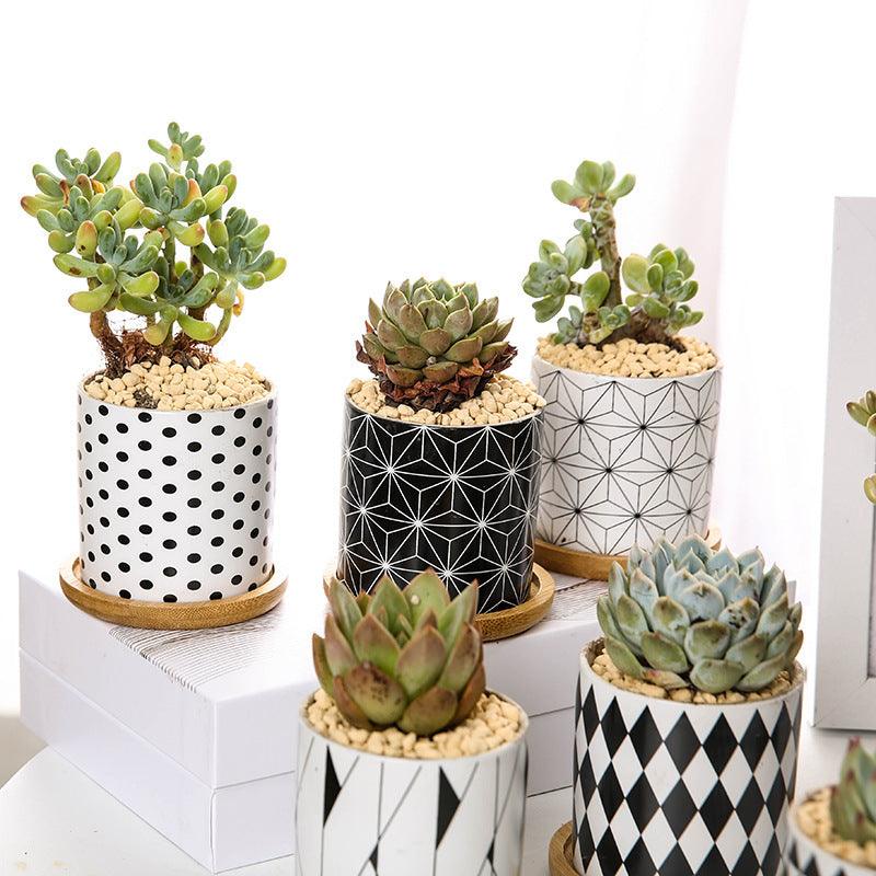 Stylish Ceramic Flowerpot Perfect for Indoor Plants & Home Decor