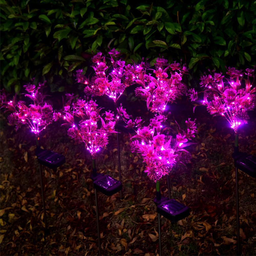 Enhance Your Garden with Outdoor Waterproof Solar Decorative Lights Pink Iolaus