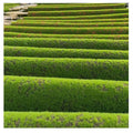 Artificial Fake Grass Moss Green Plants Grass Eternal Life Mini Landscape Crafts for Garden Hotel Home Straw Mattress Decoration Awesome Marketplace