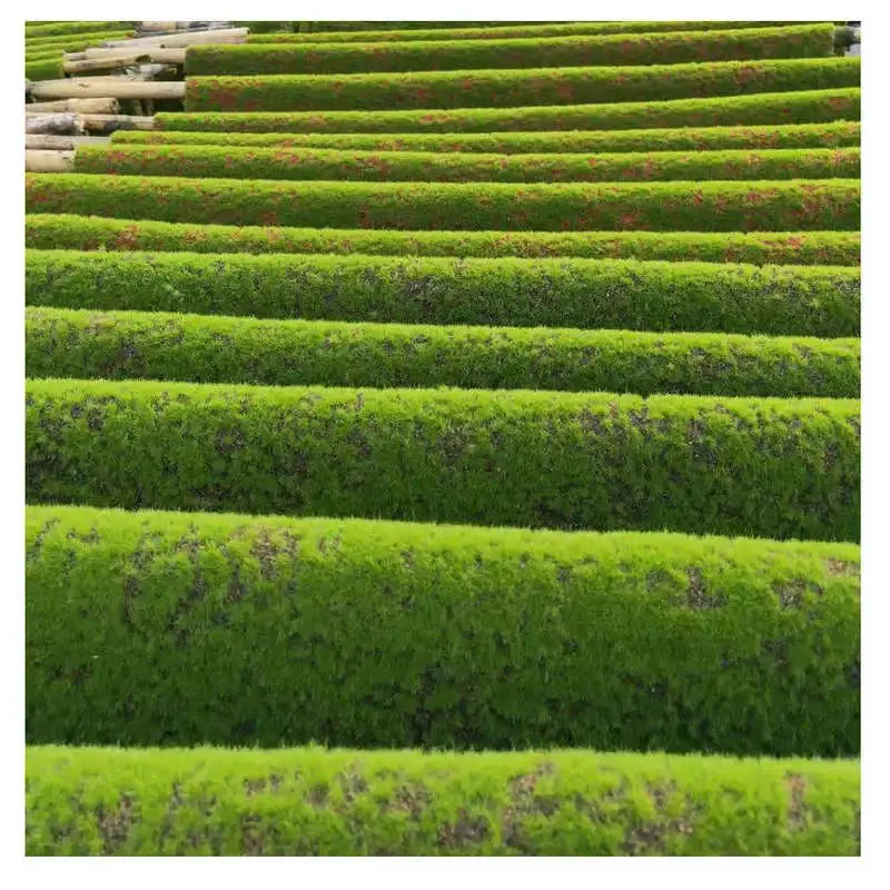 Artificial Fake Grass Moss Green Plants Grass Eternal Life Mini Landscape Crafts for Garden Hotel Home Straw Mattress Decoration Awesome Marketplace