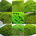 Artificial Turf Moss Grassland Fake Grass Lawn Carpet Artificial Turf Outdoor Grass Mat Moss Carpet Outdoor Garden Decorations Awesome Marketplace