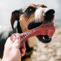 MASBRILL Dog Toys Aggressive Chewers Large Dogs Bone-Shaped Indestructible Dog Toys Nylon Interactive Dog Toys Teeth Cleaning Awesome Markeplace