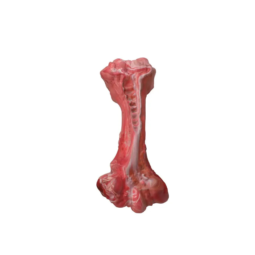 Durable Dog Toys - MASBRILL Bone-Shaped Nylon Toys for Interactive Play & Teeth Cleaning - Awesome Marketplace