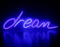 LED Neon Light, Acrylic Back Panel, Room Decoration Night Light - Awesome Marketplace