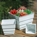 Plastic Resin Square Planter Succulent Pot Breathable & Stylish Design - Awesome Marketplace